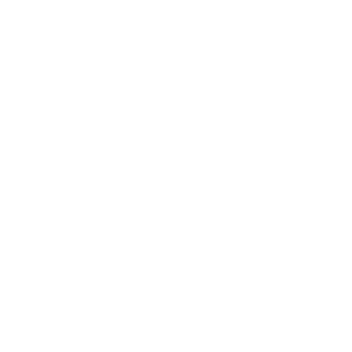 Elliott Orion Ruzicka Elliott Orion Ruzicka